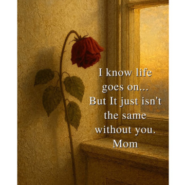 Photo for notice Jean COSIER