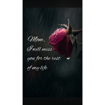 Photo for notice Jean COSIER