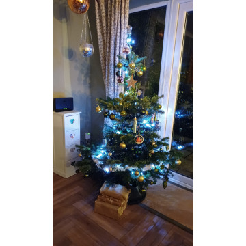 Photo for notice Stan KITTS