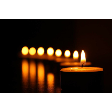 Photo of Sheila WERNER