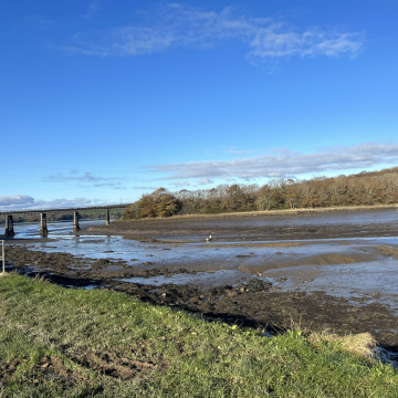 Photo of Roger MARSH