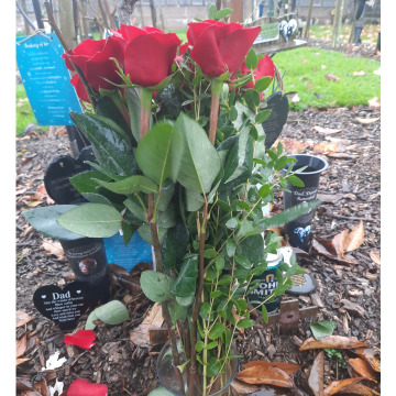 Notice Gallery for Dennis Peter RAVENHILL