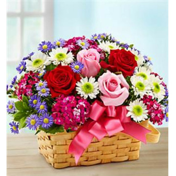 Notice Gallery for Ruth MADOC