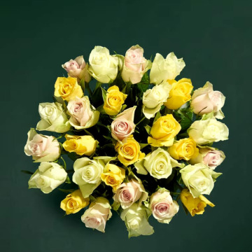 Notice Gallery for Shirley Nita Yvette SKYRME