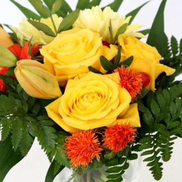 Photo for notice Jean Beatrice ROGERS