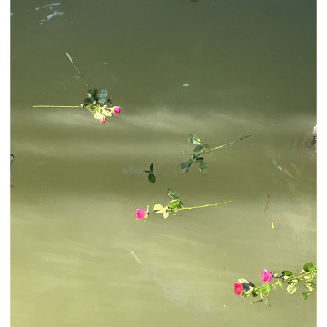 Notice Gallery for Thelma BELT