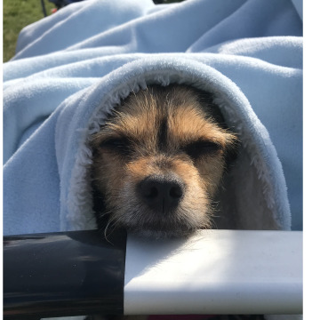 Notice Gallery for Margaret Anne OXLEY