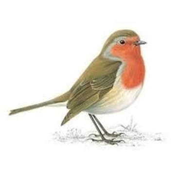 Photo of Mark NEWTON