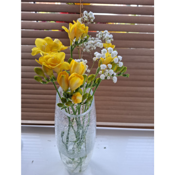 Notice Gallery for Catherine Barbara MURRAY