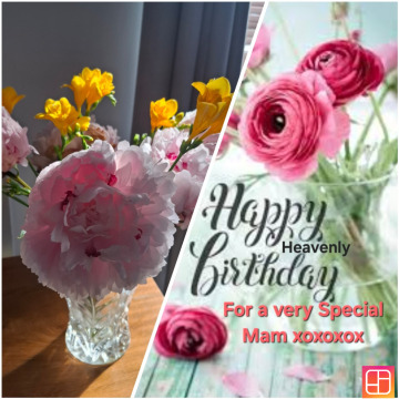 Notice Gallery for Catherine Barbara MURRAY