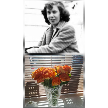 Notice Gallery for Catherine Barbara MURRAY