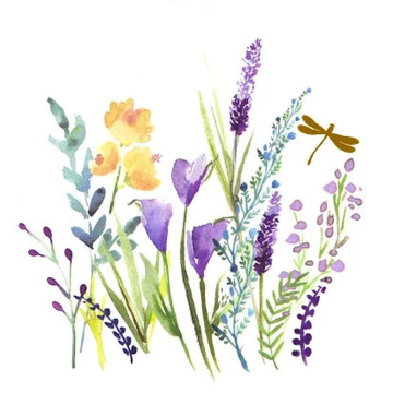 Photo of Mary Louise LOVATT