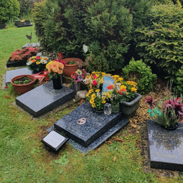 Notice Gallery for Timothy  BRATCHEL 