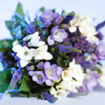 Photo for notice Audrey KNIGHT