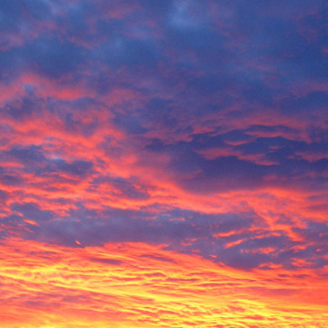 Notice Gallery for Shirley ORAM