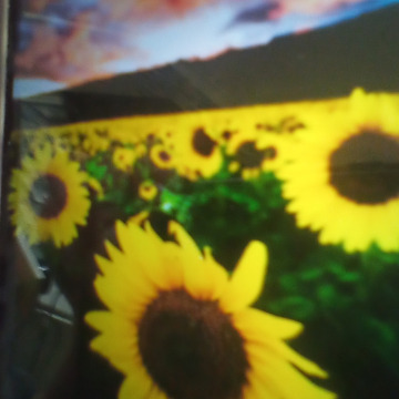 Notice Gallery for Declan PRESTIDGE