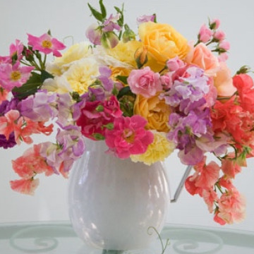 Photo of Audrey TOWNEND