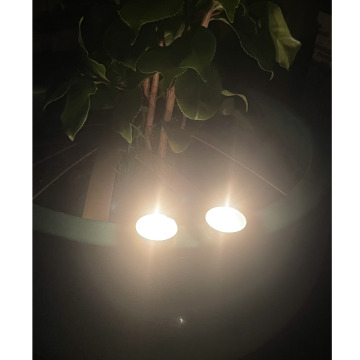 Photo for notice Gwylfa JONES