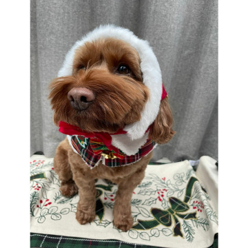 Photo for notice Eileen Josephine BOLAND