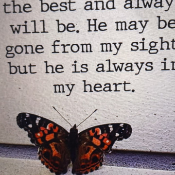 Photo for notice Ivan John DEXTER