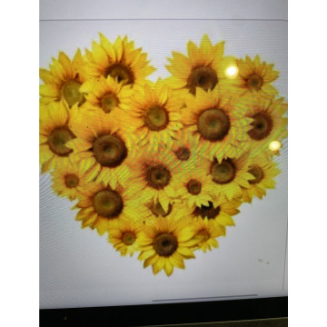 Photo for notice Ivan John DEXTER