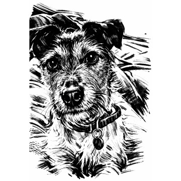 Photo for notice Ivan John DEXTER