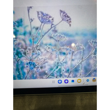 Photo for notice Ivan John DEXTER