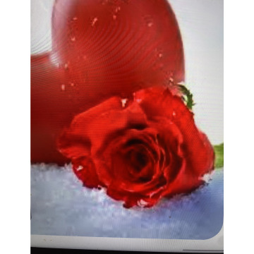 Photo for notice Ivan John DEXTER