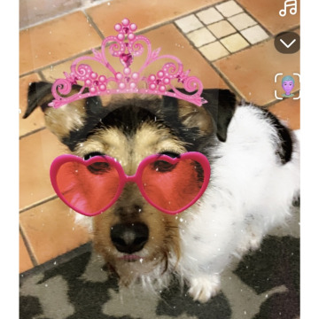 Photo for notice Ivan John DEXTER