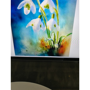 Photo for notice Ivan John DEXTER