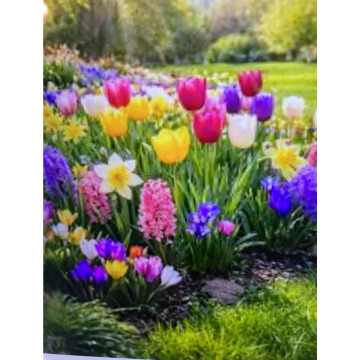 Photo for notice Ivan John DEXTER