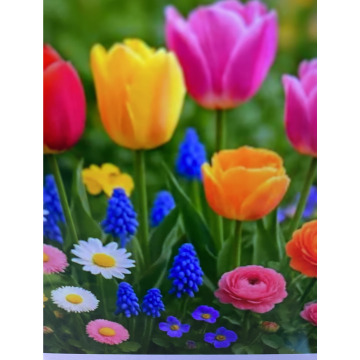 Photo for notice Ivan John DEXTER