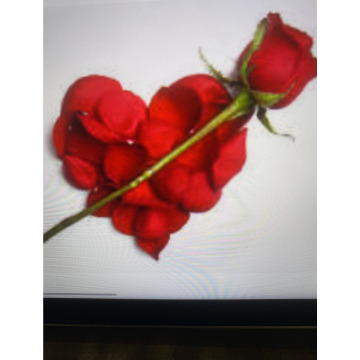 Photo for notice Ivan John DEXTER