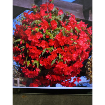 Photo for notice Ivan John DEXTER