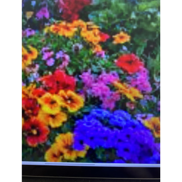 Photo for notice Ivan John DEXTER