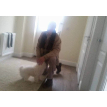 Notice Gallery for George Ernest GREENHOUGH