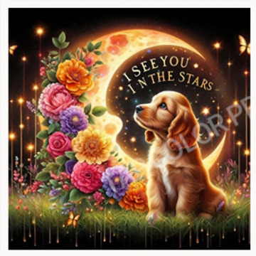 Photo for notice Margaret BLAKEY