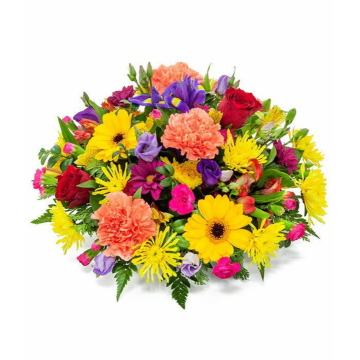 Photo of Elizabeth TAYLOR