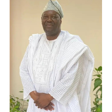 Photo of Mike ADEYEMI