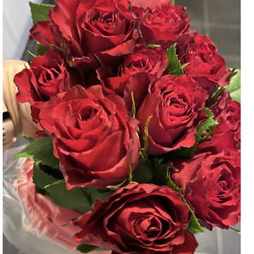 Notice Gallery for Adrian (Adie) MANGNALL