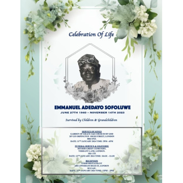 Photo of Emmanuel Adedayo Sofoluwe SOFOLUWE