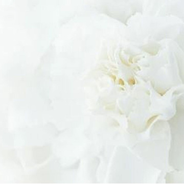 Notice Gallery for Emma WATSON