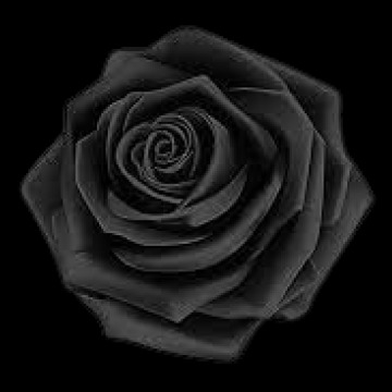 Notice Gallery for Albert Edward KNOWLES