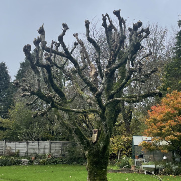 Photo for notice Philip Robin BSc (Hons) MOGRIDGE