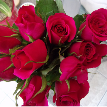 Photo for notice Margaret JAMES