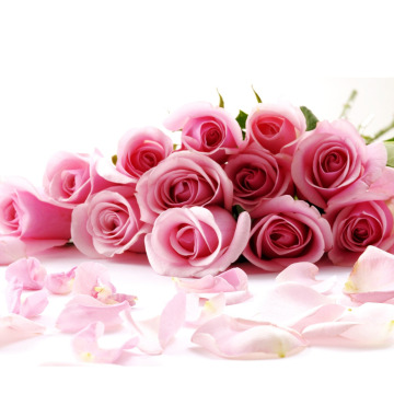 Notice Gallery for Grace PULLEY