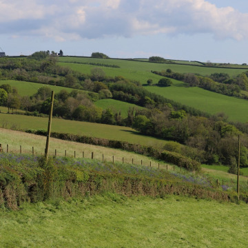 Photo of Sylvia RULE