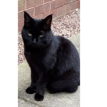 Photo of Winifred BOUMFORD