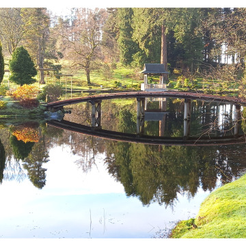 Notice Gallery for Neil TAPSON