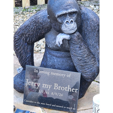 Notice Gallery for Jeremy BAILEY